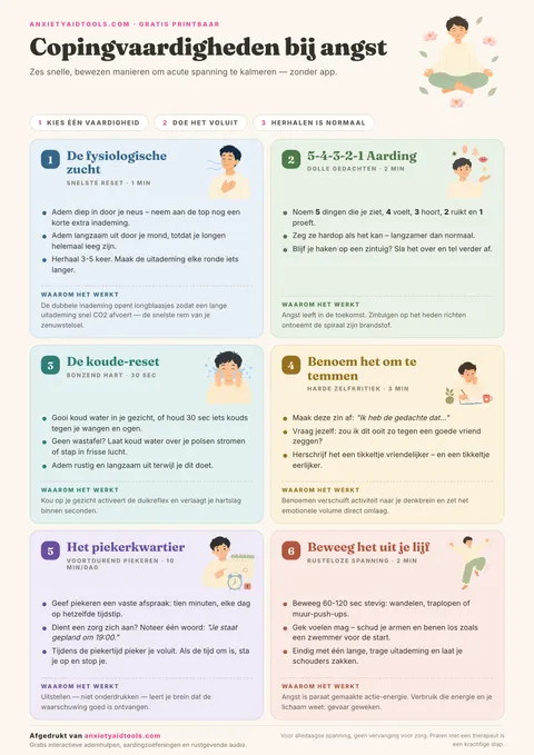 Spiekbriefje copingvaardigheden bij angst met zes geïllustreerde technieken: fysiologische zucht, 5-4-3-2-1 aarding, koude-reset, benoemen om te temmen, piekervenster en beweging