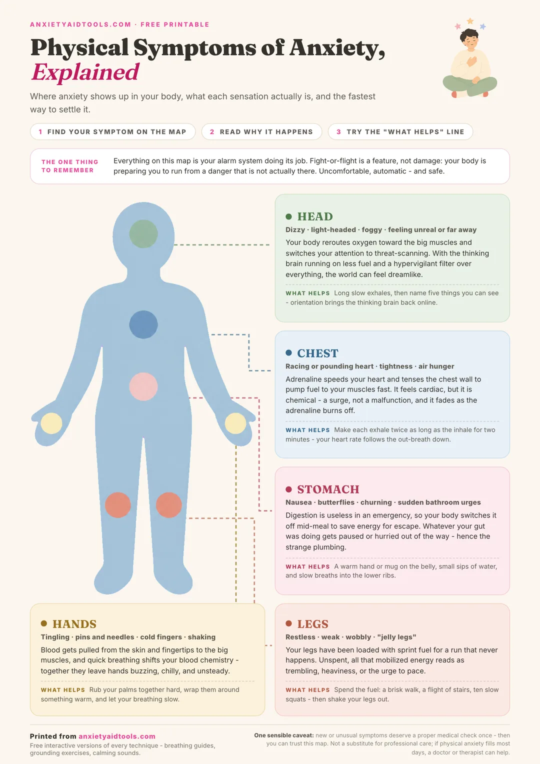 Body map cheat sheet explaining physical anxiety symptoms in the head, chest, stomach, hands, and legs with what helps for each