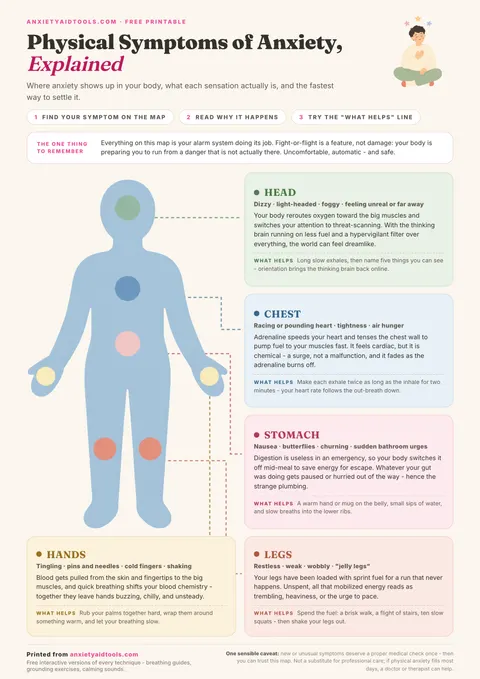 Body map cheat sheet explaining physical anxiety symptoms in the head, chest, stomach, hands, and legs with what helps for each