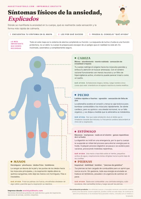 Guía de mapa corporal que explica los síntomas físicos de la ansiedad en cabeza, pecho, estómago, manos y piernas, junto con pautas de ayuda.