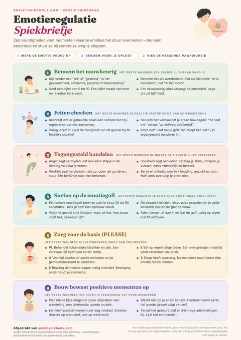 Printbaar spiekbriefje emotieregulatie met zes pastelstroken: exact benoemen, feiten checken, tegengesteld handelen, de golf uitzitten, PLEASE-basis en positieve ervaringen