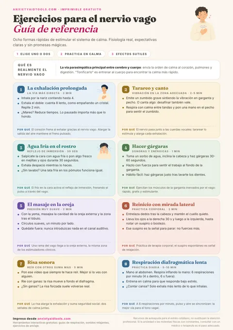 Guía de ejercicios para el nervio vago con ocho tarjetas suaves: exhalación larga, tarareo y canto, frío en la cara, gárgaras, masaje auricular, reinicio ocular, risa y respiración diafragmática lenta, con una explicación anatómica.